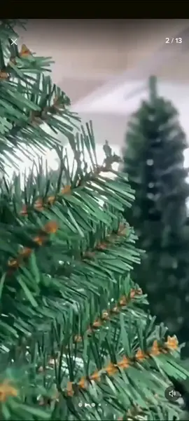 Árvore de Natal 150 cm – Pinheiro Canadense Tradicional Verde, Cheia e Encantadora! Transforme sua decoração natalina com a Árvore de Natal Pinheiro Canadense 150 cm, um modelo tradicional que traz o charme e a elegância do clássico verde natalino. Seus galhos cheios, volumosos e bem distribuídos criam um visual natural, perfeito para acomodar enfeites, laços, luzes e tudo que deixa o ambiente com aquele clima acolhedor das festas. Com estrutura resistente e montagem prática, ela é ideal para salas, escritórios, lojas e qualquer espaço que merece um toque especial. Uma escolha perfeita para quem busca beleza, durabilidade e o espírito natalino em sua melhor forma. ✔ 150 cm – tamanho ideal para destacar sua decoração ✔ Galhos cheios estilo pinheiro canadense ✔ Cor verde tradicional para um visual clássico ✔ Fácil de montar, desmontar e armazenar ✔ Combina com qualquer tema de decoração natalina Celebre o Natal com mais encanto! Garanta já sua árvore e deixe seu ambiente ainda mais especial! #Natal #ÁrvoreDeNatal #PinheiroCanadense #DecoraçãoNatalina #Festas 