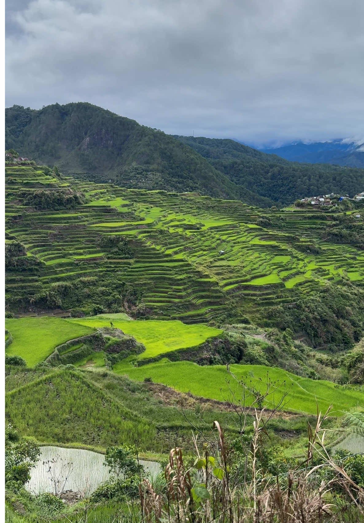puro trabaho na lang baaaa? miss ko na mag-nature trip 😭📍mt. kupapey | Maligcong Rice Terraces #mtkupapey #hikingadventures #traveltiktok #travel #fyp 