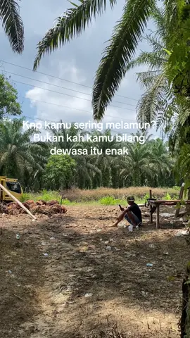 #promomakanharian #supirsawitriau #sawitrohul #fypage 