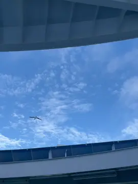 ❤️‍🩹#wongkalahan#midwest 