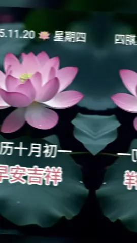 #早安吉祥♥️🍊♥️  2025/11/20 农历十月初一🍊 平安吉祥🍎喜乐安康🍎 周四吉祥🪷