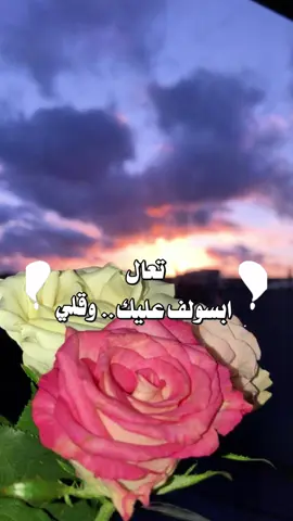 #CapCut #جده_الان #اكسبلور 
