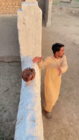 Wait for it😂🤣#atharhussain2.0 #funnytiktok #comedу #viralvideos #foryou 