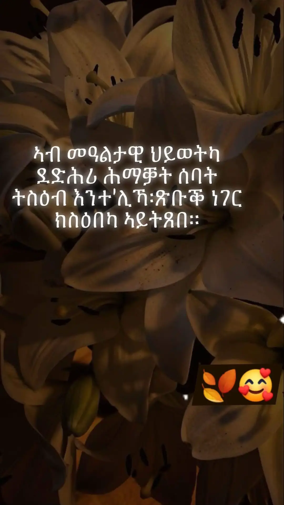 #CapCut #ethiopian_tik_tok🇪🇹🇪🇹🇪🇹🇪🇹 #tigraytiktok🇻🇳🇻🇳tigraytiktok #eritreantiktok #🤩🤩🤩 