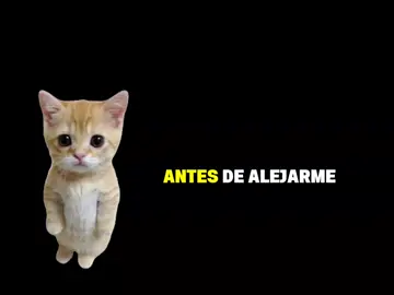 parte 2. #graciasportodo #gatitopisicolo #adios #tequiero #viral 