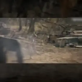 Oh Carrie, why are you hiding?#heroesnewadventures #fyp #popular #velocity #strangerthings 