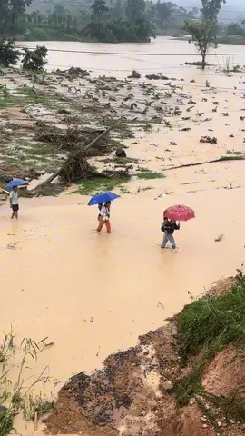 Cõng con, lội suối, dầm mưa là những gì chúng em nhìn thấy từ đồng bào nơi đây. Họ run lên vì đói, những đứa trẻ người ướt mèm ăn vội ổ bánh mì, cây xúc xích... Thương lắm YangMao ơi ❤ ❤ #47daklak #47bmt #bmt #xuhuong 