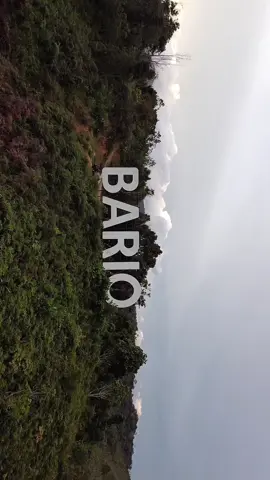 Bario is everyone home to stay with