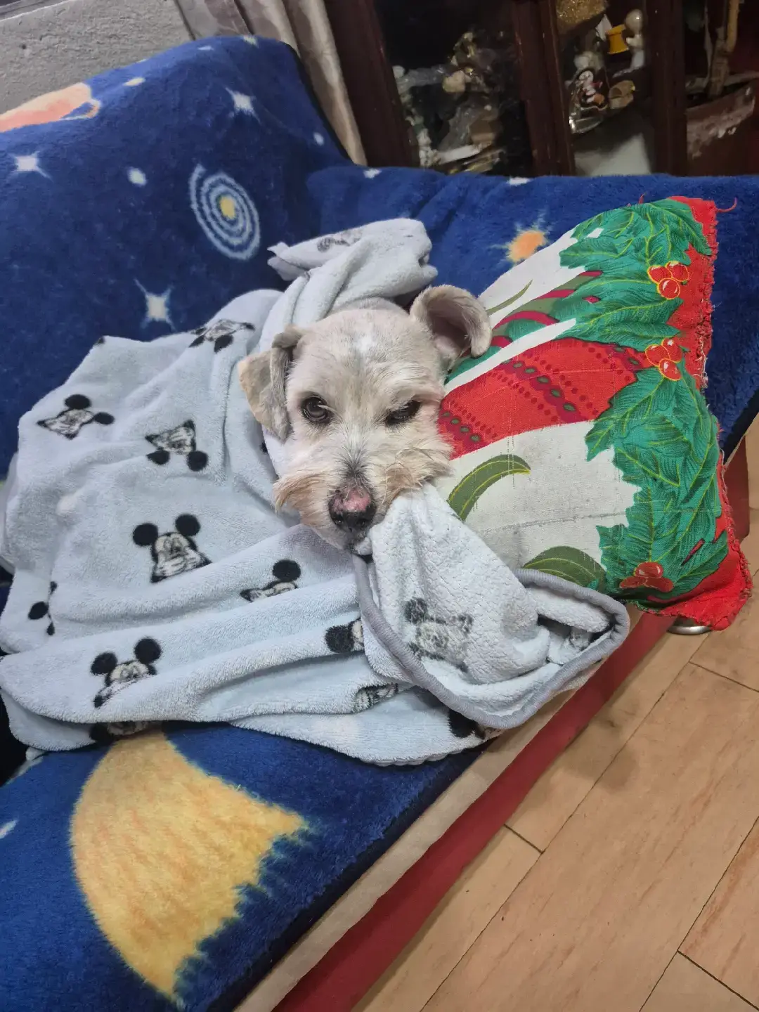 A mis seguidores 💖😏