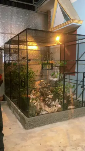 Aviary Tiểu Cảnh Sân Vườn , bố trí hoàn non bộ và thác nước chảy tự nhiên #aviary #aviarybirds #xuhuong #tieucanh 