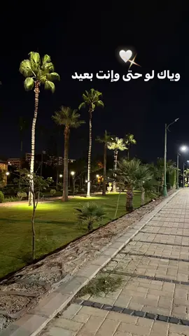 #viral #foryou #ترند_تيك_توك #اصاله #قصرالمنتزة 