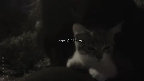 #en4aaa #foryou #foryoupage #fyp #viral ;)