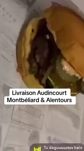 Msburger.fr🍔 Livraison Audincourt Montbéliard et alentours #fastfood #burger 
