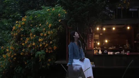 mùa hoa dã quỳ nở, Dalat vẫn chưa kịp ngớt những cơn mưa. người ta nói tháng này trời dễ buồn, khiến lòng người dễ nhớ về những điều còn lửng lơ. có những điều đã xa nhưng vẫn ở lại, như mưa chiều nay chẳng biết bao giờ mới thôi rơi... #dalat #fyp #healing #xh 