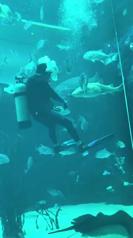 #quran_alkarim #tilawat #quranrecitation #viral #foryoupage 