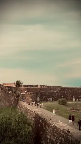 මේක ඔයාට Admin ළමයෝ ❤️‍🩹! #themiii_page #background #backgroundvideo #quotes #foryou 