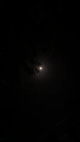 ঠিক ততটা একা হবো, যতটা একা হলে মনে হবে কোথাও কেউ ছিলো না, কখনোই নাহ! 🖤💫 #foryou #foryoupage #edit #viral #kaiummahamudminar @TikTok Bangladesh 