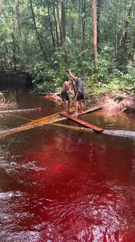 karas gawi kuan kawal tuh#panyedotan #tambangemas #masukberandafyp #theboys #pendaparukat 