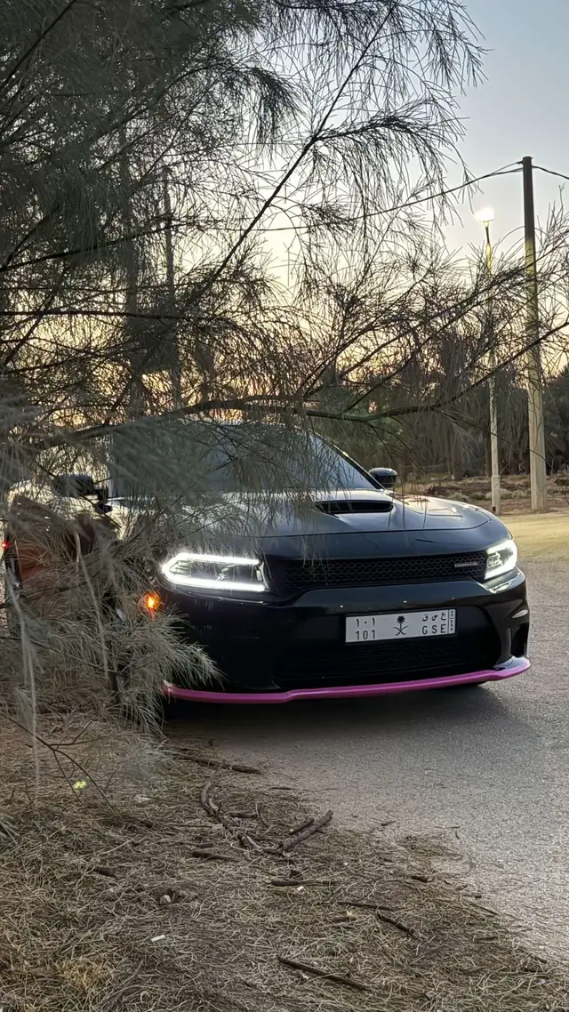 #الزلفي #مبتعثين_المجمعه #القصيم #دوج #explore 