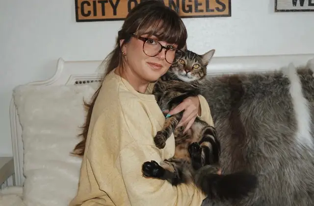 brb bc this trend makes me cry 😭 #catsoftiktok #kittensoftiktok #reflection #PetsOfTikTok #cat 