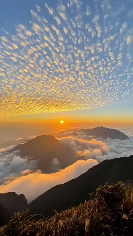 #عصام_حمود_آل_مهدي 