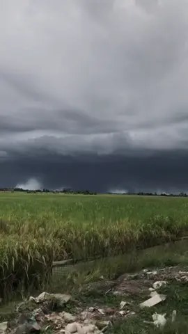 #mendung #pelampiasan2 #fyp #xybca #indramayupride🏴‍☠️ 