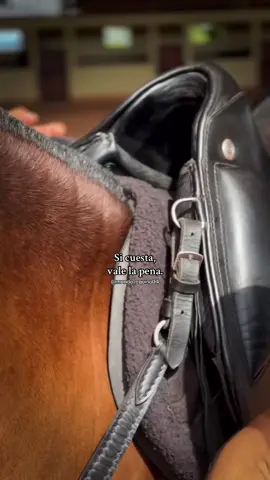 Instagram:@mundo_equino04 . . . . . #paratii #caballos #mundo_equino04 #viralvideos #caballistas 