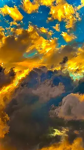 #الشيخ_محمد_الفقية_سورة_النِّسَاء 