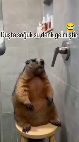 funny videos 10000 😂 #komedialemi #komedi #mi̇zah #funny #şaka 