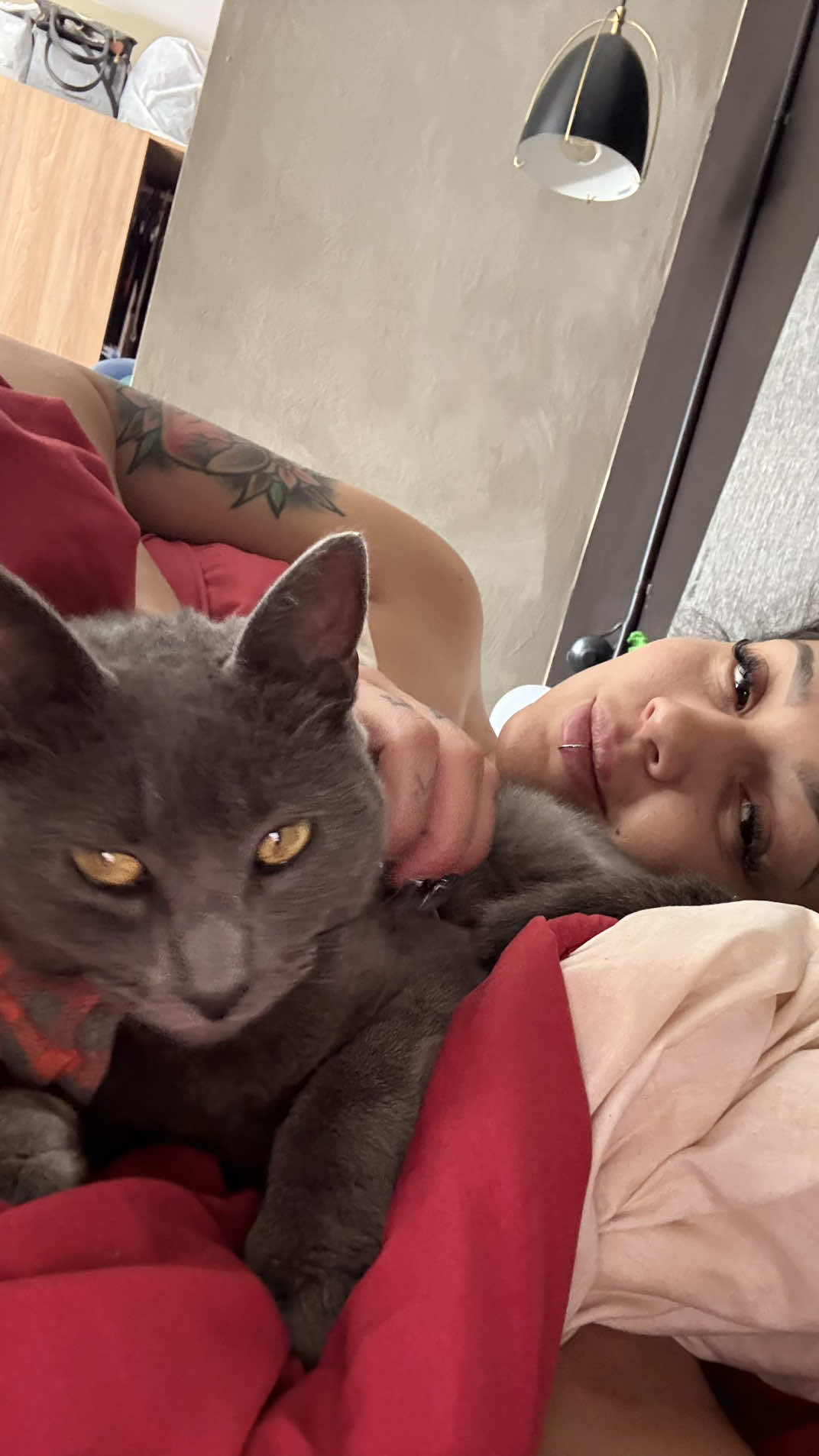 Alguien tiene gatos que me explique qué clase de brujería es esta y porque es un gato malvado con todos menos conmigo? #gato #michi #duda #gatostiktok #cat 