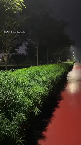 المعدن الاصيل لا يصدأ #مساء_الخير #اقتباسات #بودكاست_فنجان #بودكاست #tiktoklongs 