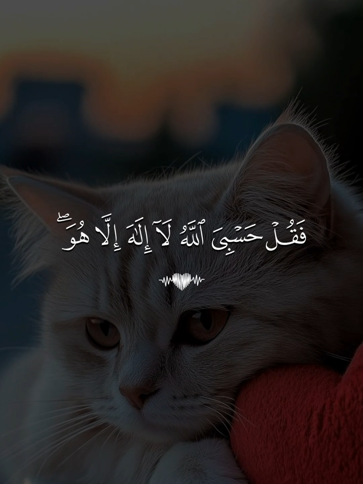 🕳️ تلاوة خاشعة بصوت القارئ ماهر المعيقلي سورة التوبة  #تلاوة_خاشعة #قران #quran #fyp #foruyou 