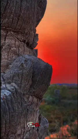 حسن الأمير📸سولتنه تبدي من الگلب💔#تصويري #تصويري_احترافي_الاجواء👌🏻🕊😴 #اغاني#جواد الساعدي#موال حزين