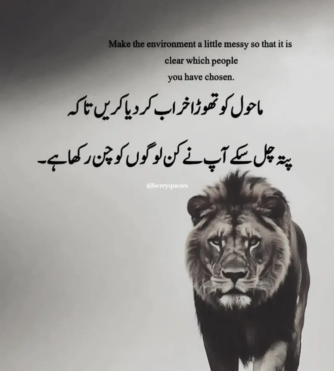 #creatorsearchinsights #foryoupage #tiktokviral #usa #motivation 