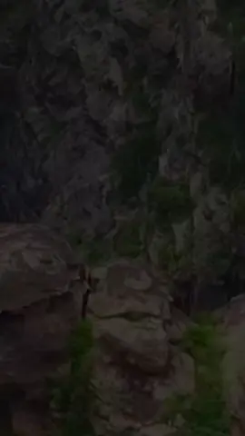 #القران_الكريم 