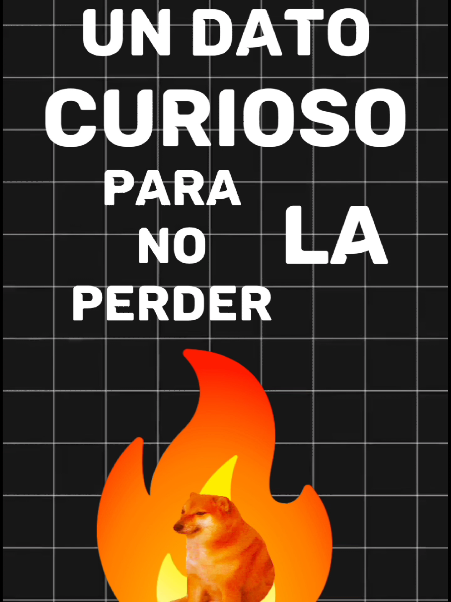 la extinción del pérmico-triásico. #cheems #extincion #datoscuriosos 