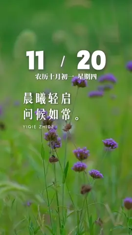 今天是11月20日，星期四，早安。晨曦轻启，问候如常。用满心欢喜问候珍惜的你，用赤诚心意祝福牵挂的人。愿我在乎的人清晨醒来精神好，心情好，运气好，身体好，一切安好…加油！