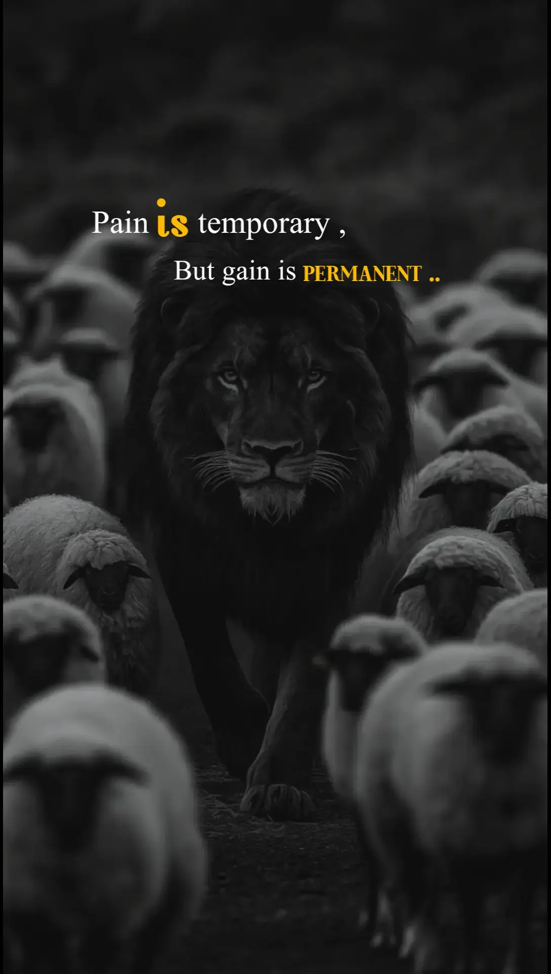 #TikTokUSA #ViralTikTok #AmericanMotivation #MotivationalVideo #LifeGoals 