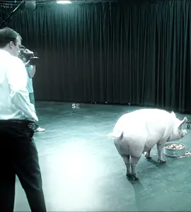 #foryou #fyp #film #usa #movie 