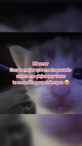 🥺❤️#paratiiiiiiiiiiiiiiiiiiiiiiiiiiiiiii #amoaminovia #Love #minovia 