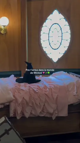 Pov tu rentre dans le film Wicked💗✨🍀  #wicked #wickedforgood #universalstudios #wickedpart2 