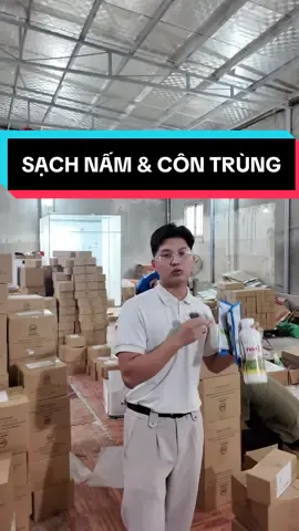 Vừa sạch nấm vừa sạch côn trùng với cặp đôi ở góc trái màn hình nhé các bác!