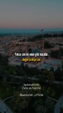 Yoksa sen de onun gibi küçülür, değersizleşirsin!  Seslendirme; [Zafar El-Natifat] #ZafarelNatifat #sebilullah #keşfet