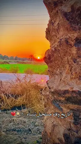 تاريخ وفاه مستحيل تنساه..!!🙇🏼💔 #تصويري_احترافي_الاجواء👌🏻🕊😴 #تصويري📸 #العراق_السعوديه_الاردن_الخليج #الشعب_الصيني_ماله_حل😂😂 #كربلاء_المقدسة 