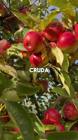 Sabías esto? Síguenos para más consejos de salud #comidassaludables #salud #frutas #comidas #consejosdesalud 