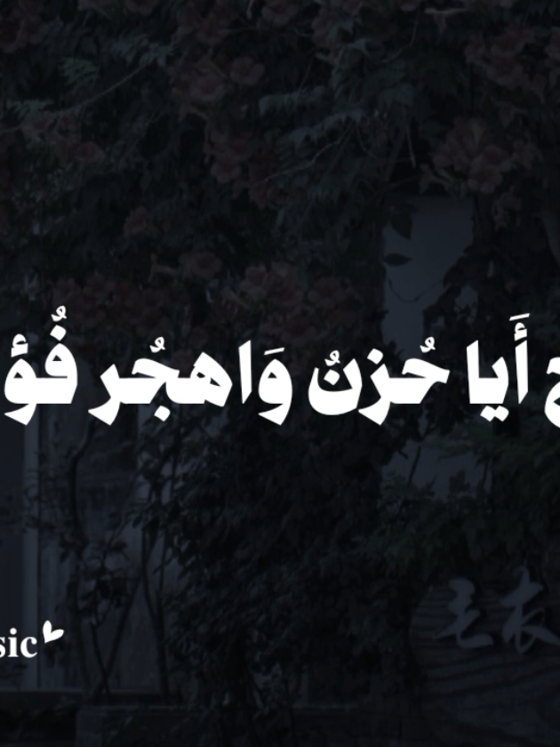 سَبيلُ الدُموعِ سَبيلٌ مُريحِ 🤎 #اناشيد #بدون_موسيقي #foryou  #سبيل_الدموع_سبيل_مريح #no_music 