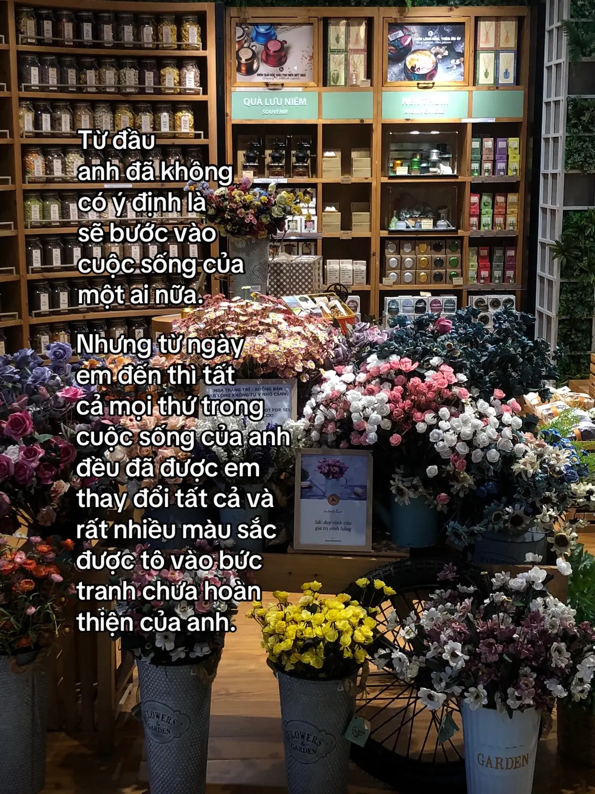 #abcxyz #xh #fyppppppppppppppppppppppp 