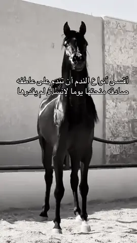 #خيل_وخياله🐎 #viral #fyp #اكسبلورexplore #اقتباسات 