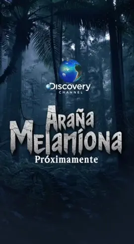 No te pierdas este documental 🕷️🔥 #sora #funny #discovery #fypシ #viral 