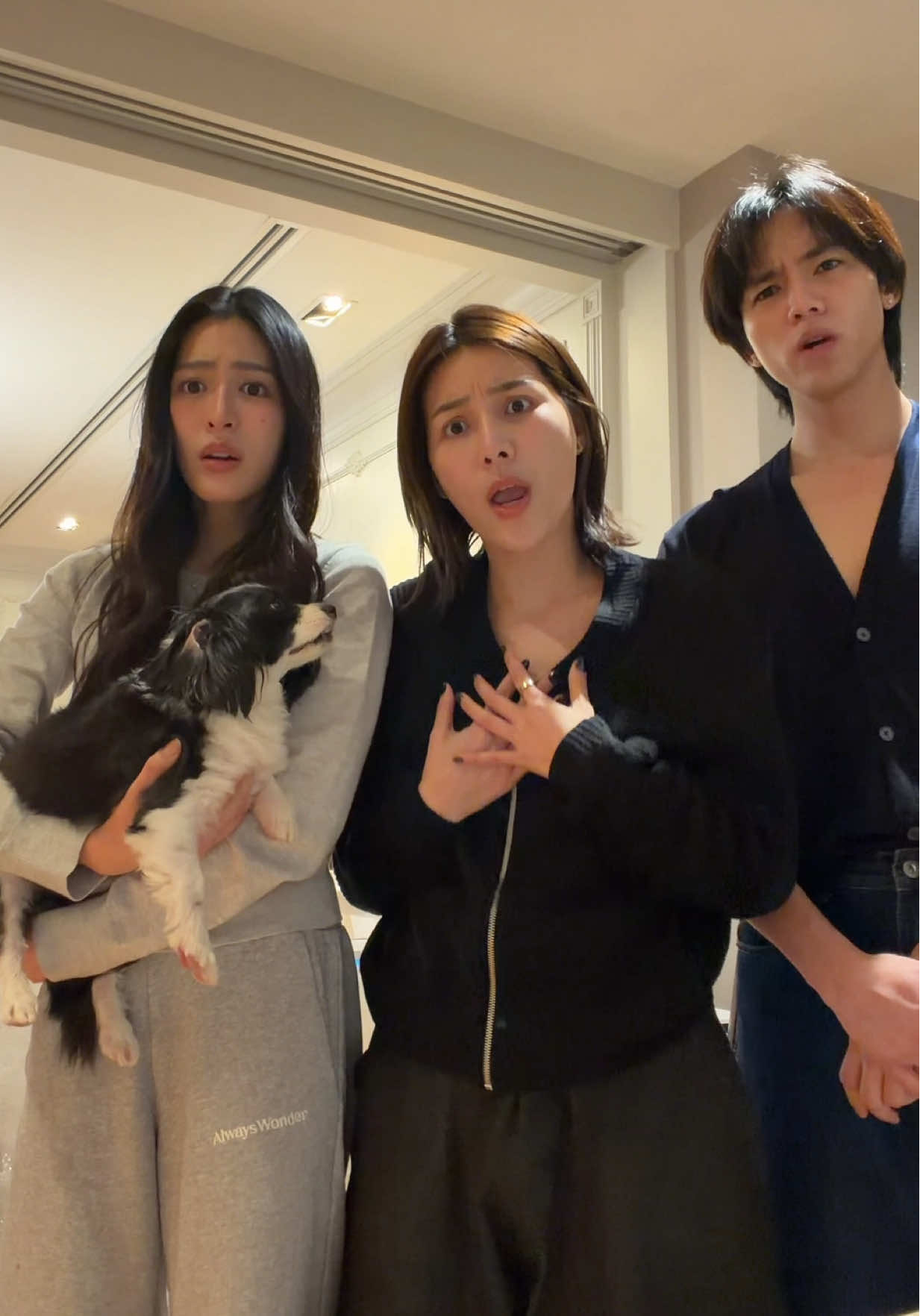 Replying to @🌙 JUNJI จันจิ 🌙 มาแล้ววว